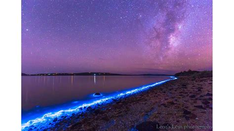 Bioluminescence Lights Up Tasmanian Shoreline Creates Beautiful Photos