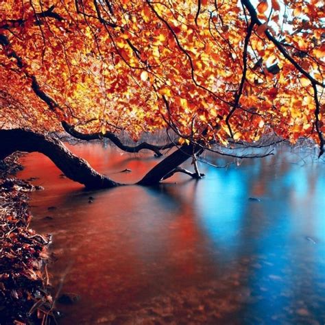 10 Most Popular Autumn Hd Wallpapers 1080p Full Hd 1080p For Pc Desktop