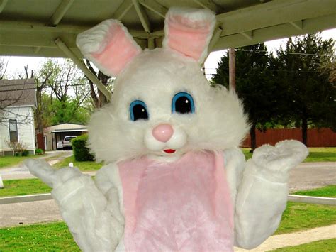 Easter Traditions: Origins of the Easter Bunny | Real easter bunny, Easter traditions, Easter ...