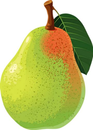 Dessin Poire Tube Fruit Pear Drawing Png Transparent