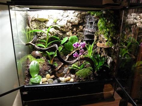 We did not find results for: Frog terrarium, Vivarium, Dart frog vivarium