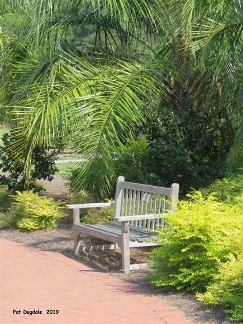 One day guide · call it adventure. Coastal Georgia Botannical Gardens-Savannah, GA (With ...