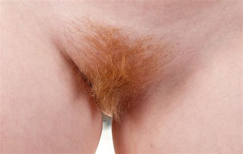 Skinny Nude Women With Ginger Pubes Telegraph