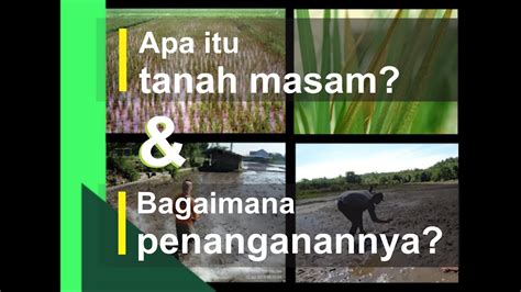 Contoh pencemaran tanah bisa berupa kebocoran limbah untuk mengetahui lebih jelas informasi mengenai pencemaran taah, berikut ini terdapat 6 contoh pencemaran tanah dan cara mengatasinya. Cara Mengatasi Tanah Masam/Asam - YouTube