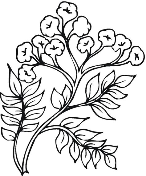 Free Plants Coloring Pages
