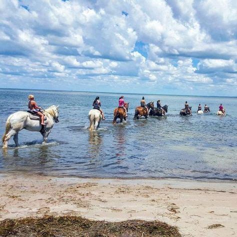 The Horseback Riding Trail In Florida That's Pure Magic | Florida