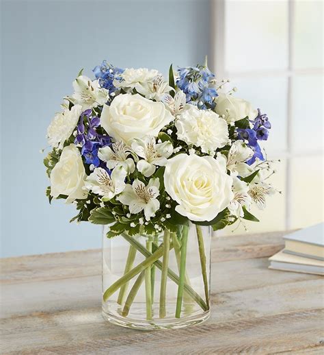 Loving Sentiments™ Blue And White From 1 800