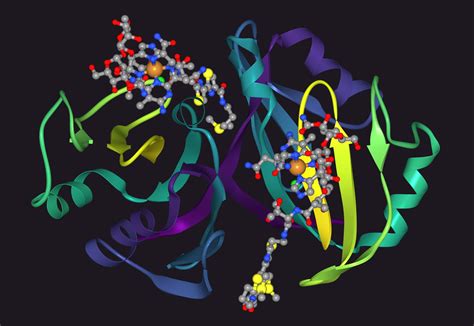 Ribbon Diagrams On Twitter 1jif Crystal Structure Of Bleomycin