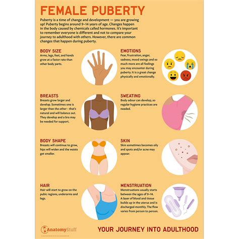 Female Puberty Poster Pshe School Education Chart