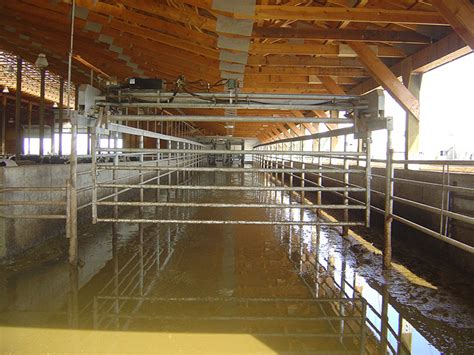 Bad for your diet, but so damn good on your tastebuds. Cow Stanchions and Gates for Dairy Cows | Mid Valley MFG