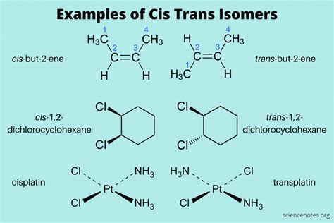 Cis And Trans Isomers