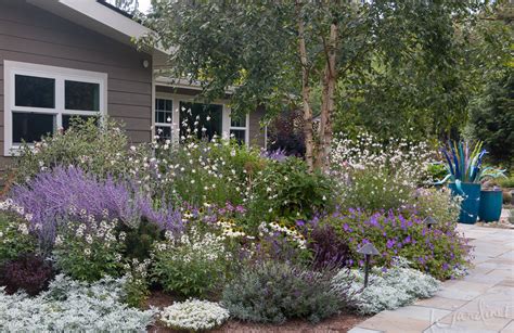 Best Drought Tolerant Perennials & Annuals - that are Deer ...