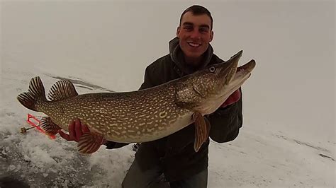 Monster Pike Through The Ice Youtube