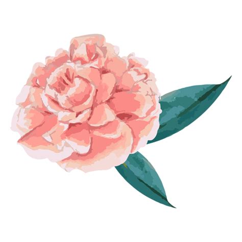 Flor rosa con hojas acuarela - Descargar PNG/SVG transparente png image