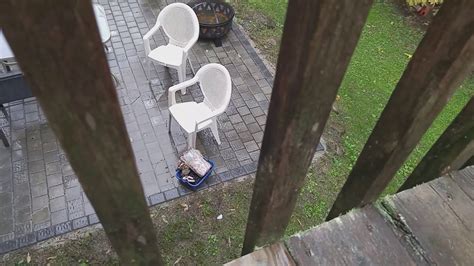 Spray on your concrete deck and allow it to sit for half an hour; Cleaning deck WITHOUT pressure washer - Softwash and ...