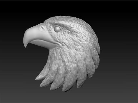 Eagle Head 3d Model 3d Printable Stl