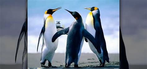 See a new image on your desktop every day with bing wallpaper. How to Change your desktop background picture in Windows 7 ...