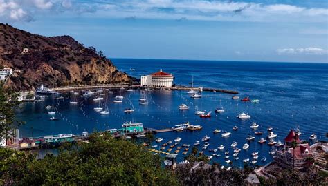 Quick Guide To Catalina Island Drive The Nation