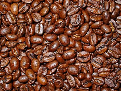 arabica coffee beans premium quality productsestonia arabica coffee