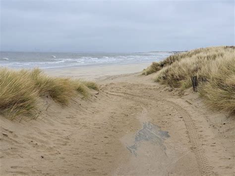 In einem urlaubsresort am meer von topparken können sie das wlan gratis nutzen. DÜNEN IN HOLLAND Foto & Bild | landschaft, meer & strand ...