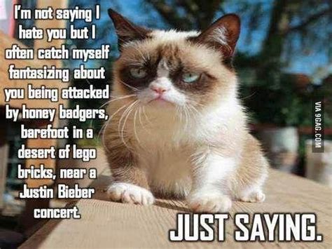 Grumpy Cat Strikes Again Funny Grumpy Cat Memes Grumpy