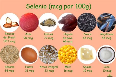 Gli alimenti vegetali sono le principali fonti di selenio nella maggior parte dei paesi del mondo. Il selenio : 7 vantaggi per nostro corpo - Alimentazione e ...