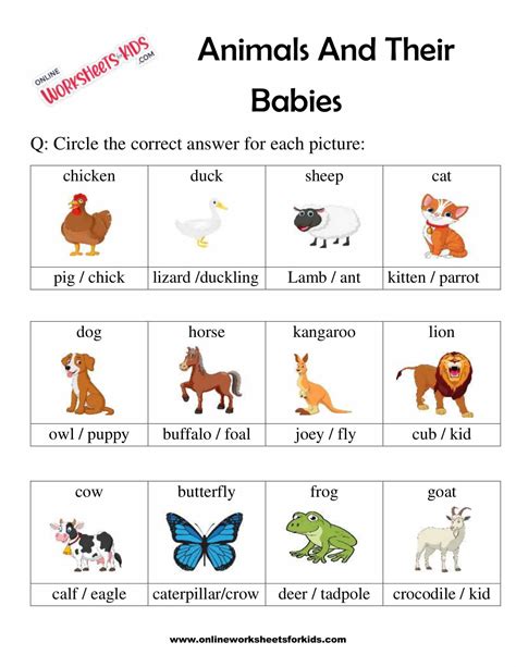 Animal and their babies worksheet for grade 1-4