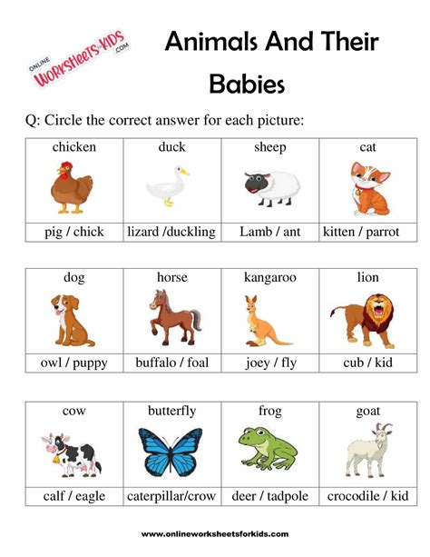 Animal And Their Babies Worksheet For Grade 1 4