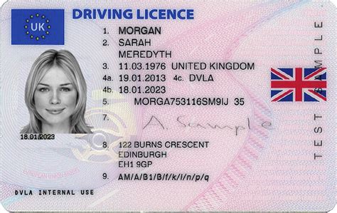 Driving Licence Aka Driving License Review Gambaran