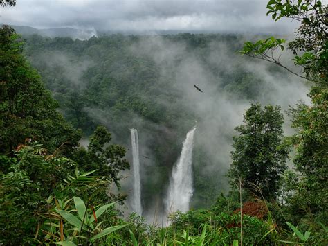 36 Excellent Photos Of Colombia Amazon Rainforest The Best Wildlife