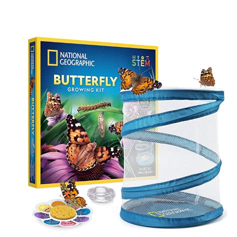 National Geographic Butterfly Growing Kit The Good Play Guide