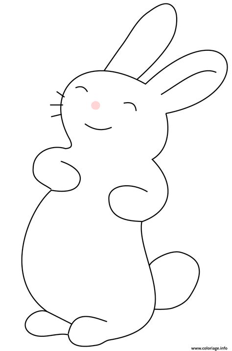 Coloriage lapin kawaii bunny  JeColorie.com