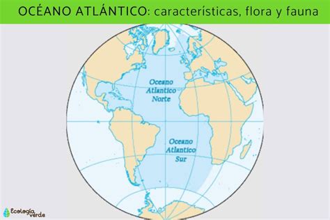 Extensión Del Océano Atlántico Colombia Verde