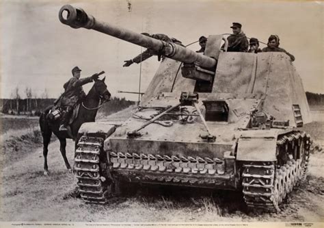 German Nashorn Self Propelled 88mm L71 Pak 431 Anti Tank Gun Vintage
