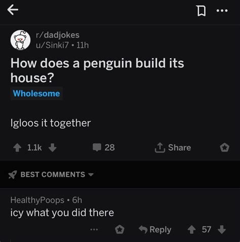 Penguins do not live in igloos. Always look in the comments : TheRealJoke
