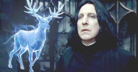 quiz can you match these harry potter characters to their patronuses harry potter patronus