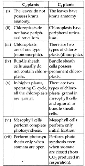 NCERT Solution Class Biology Photosynthesis Of Higher Plants PW