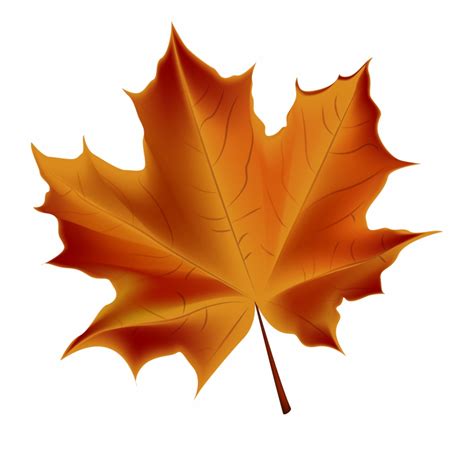 Autumn Leaf Color Clip Art Fall Leaves Transparent Picture Png