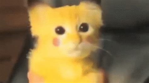 Say how you feel with a gif! Pikachu GIF - Find & Share on GIPHY