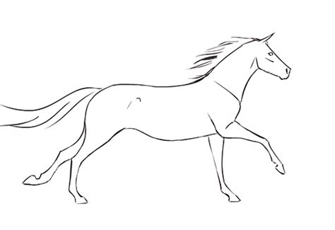 Following the simple method you will be able to know how to do it in super easy way. Beautiful Horse Gifs | Horse animation, Horse drawings ...