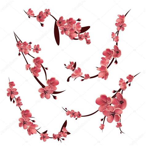 Dessin japonais fleur élégant épinglé par andru sur tattoo. Vector: arbol de cerezo japones | Ramas de sakura flor rosa. Árbol de cerezo japonés. Icono de ...