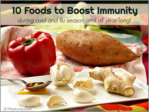Eggs, fortified sources of probiotics include fermented dairy foods such as yogurt and kefir, and aged cheeses, as. Foods To Boost Immune System Function During Cold And Flu ...