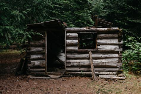 Broken Cabin In The Woods Free Backgrounds