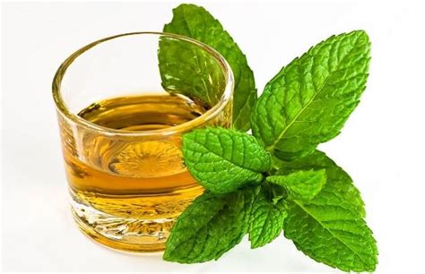 Conoce sus propiedades, beneficios y riesgos para los adultos mayores. Propiedades Medicinales de la Hierbabuena | Hierbas y ...