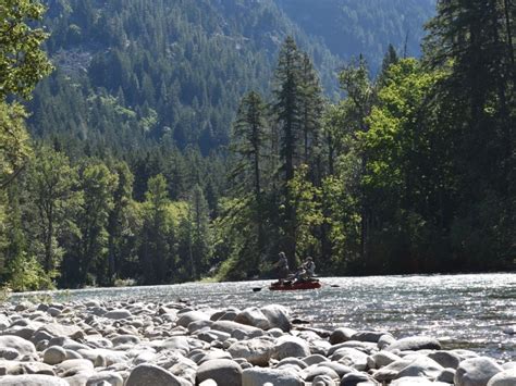 Hold the fly line between your index finger and the rod, to keep any additional line from coming out. Stehekin River Fly Fishing Day Tour for 2 - Stehekin ...