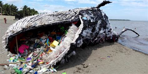 Giant Dead Whale Is Haunting Reminder Of Massive Plastic Pollution