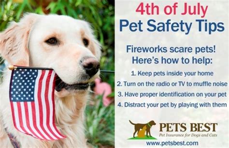 The 4th Of July Is Quickly Approaching Share These Helpful Tips For
