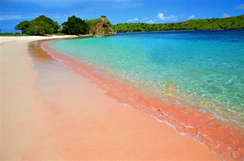 Pantai Pink Di Indonesia