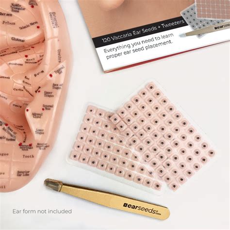 Printable Ear Seed Placement Chart