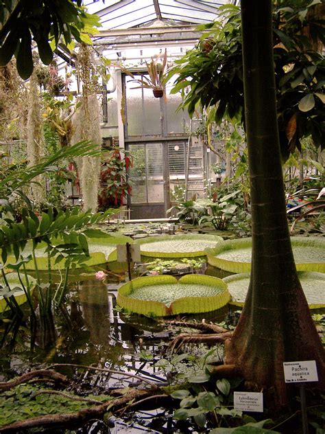 Check spelling or type a new query. File:Alter Botanischer Garten der Universität Göttingen ...